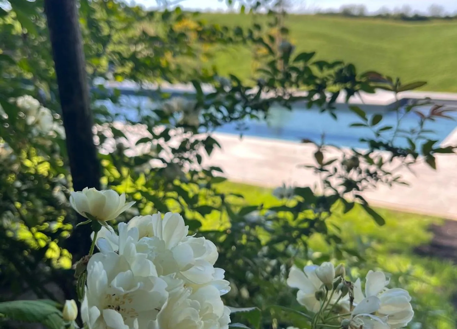 Agriturismo San Fabio Castelnuovo Berardenga Italy
